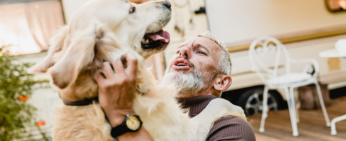 Czworonożni terapeuci jak psy pomagają w leczeniu PTSD
