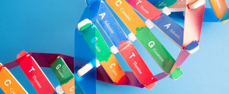 Geny, rodzina i środowisko kluczowe czynniki kształtujące rozwój młodego człowieka