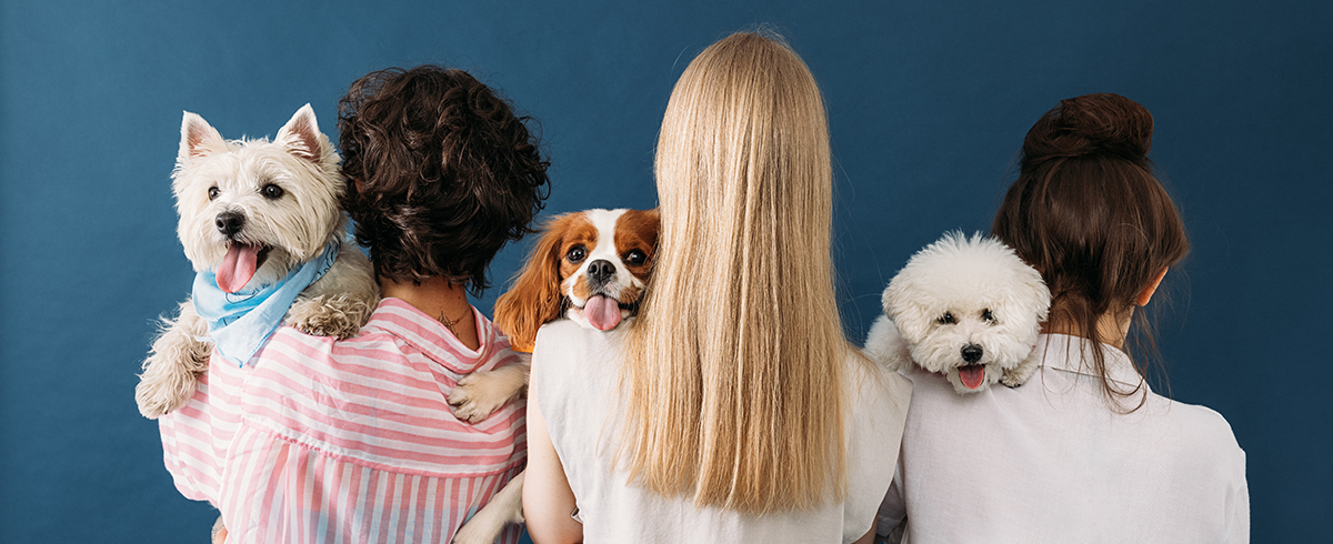 Kynofobia przyczyny, objawy i leczenie lęku przed psami