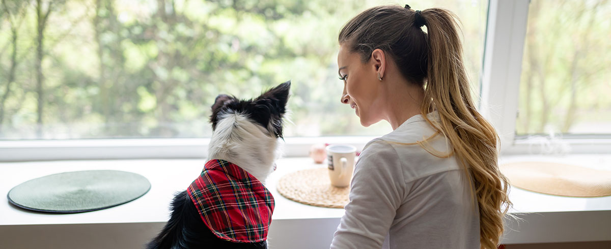 Pies jako wsparcie w walce z depresją wpływ czworonogów na zdrowie psychiczne