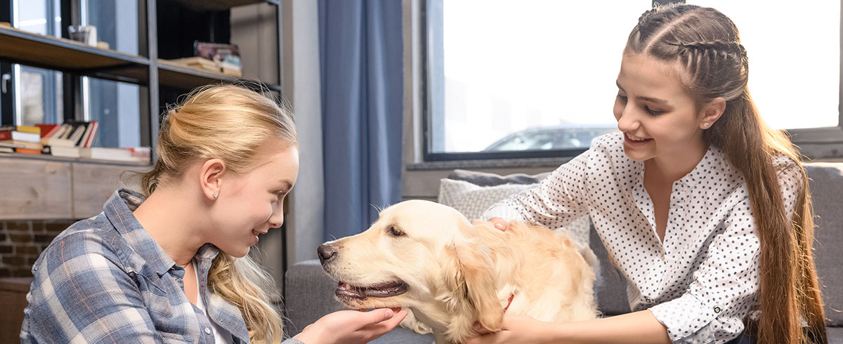 Rola psów w terapii zaburzeń lękowych