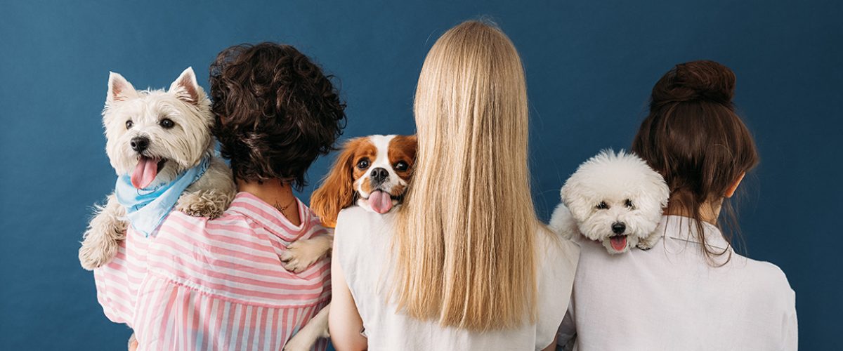 Kynofobia przyczyny, objawy i leczenie lęku przed psami