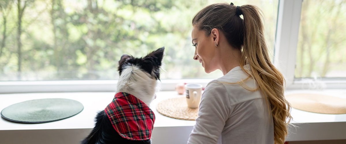 Pies jako wsparcie w walce z depresją wpływ czworonogów na zdrowie psychiczne
