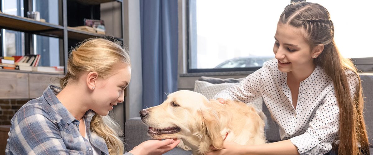 Rola psów w terapii zaburzeń lękowych