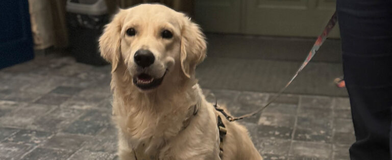 Poznajcie Lunę naszą czworonożną terapeutkę w Centrum CBT na Targówku