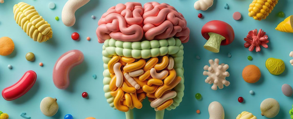 Rola mikrobioty jelitowej w kształtowaniu odporności na stres ze szczególnym uwzględnieniem dzieci i młodzieży